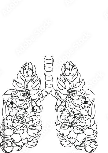 Lungs in flowers line art