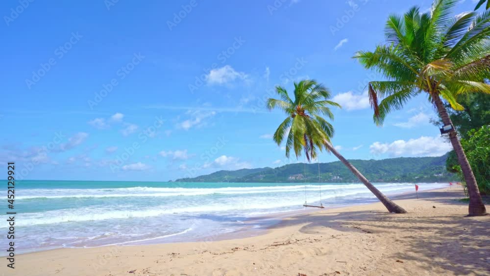 Beautiful coconut palm trees on the beach Phuket Thailand Palms trees frame at Summer sunny sky background Palms grove on the beach with Blue sky Summer landscape background