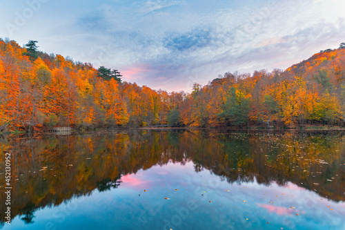 Image of trees in autumn.