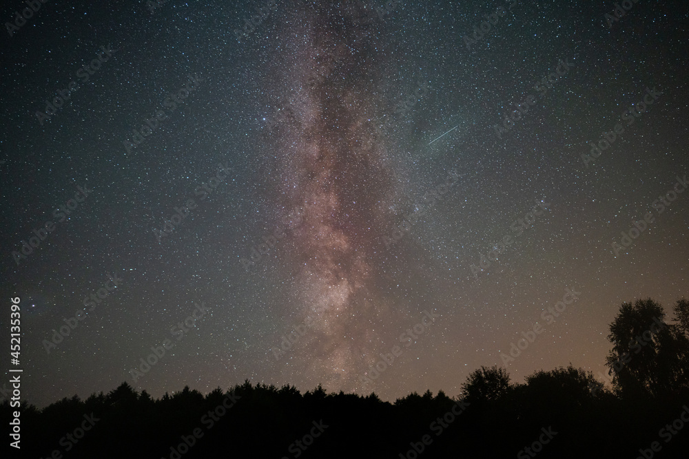 Perseid meteor shower above a forest in rural Poland