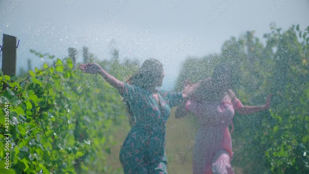 Two young ladies running in vineyard under rain . Pretty women in dress walking through vineyard at Sunny rainy day .  Sunset light . Freedom concept of youth and connecting with nature . Slow Motion
