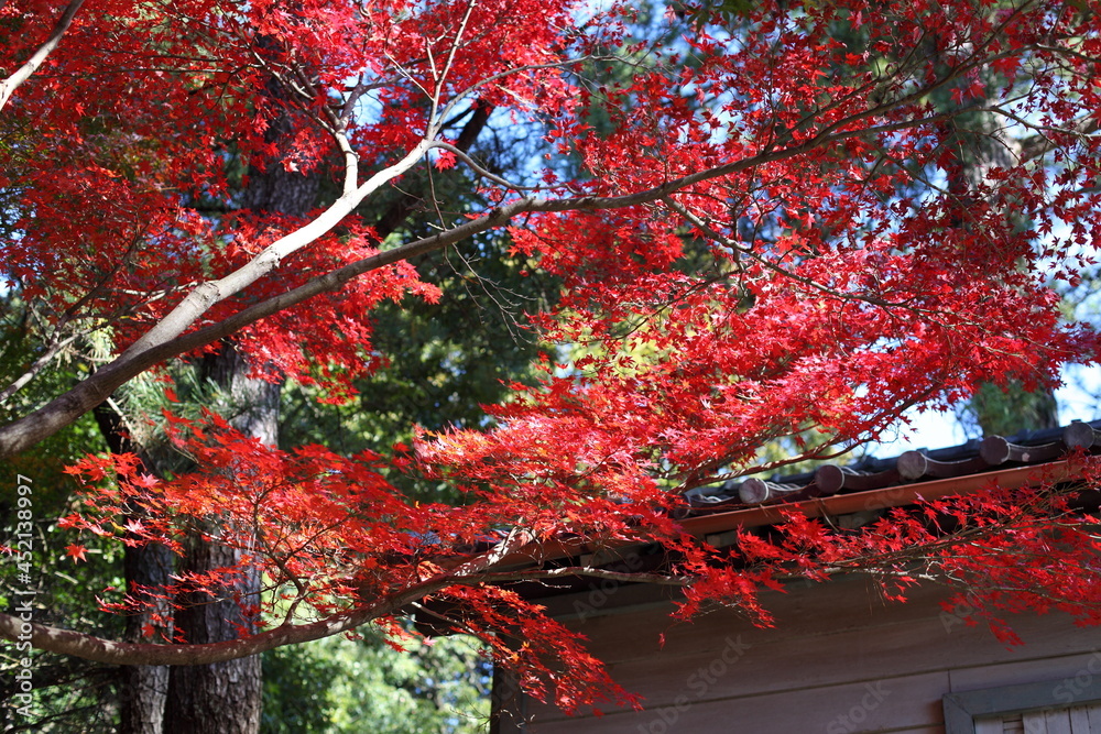 古い建物と紅葉