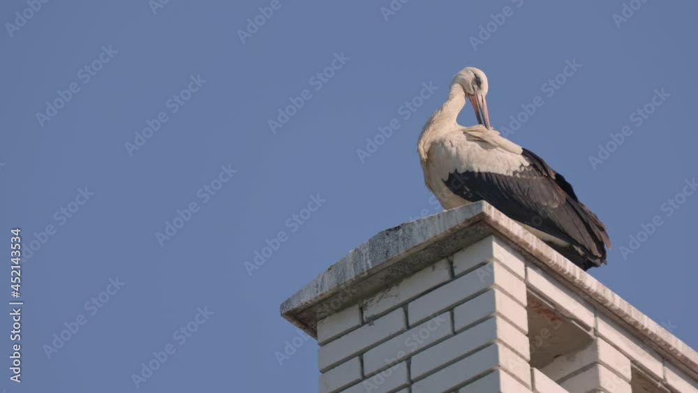one crane stands on the chimney against the background of the sky one crane stands on the chimney against the background of the sky