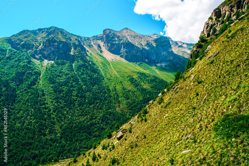 The slopes of the green mountains on a summer day. Beautiful mountains in greenery