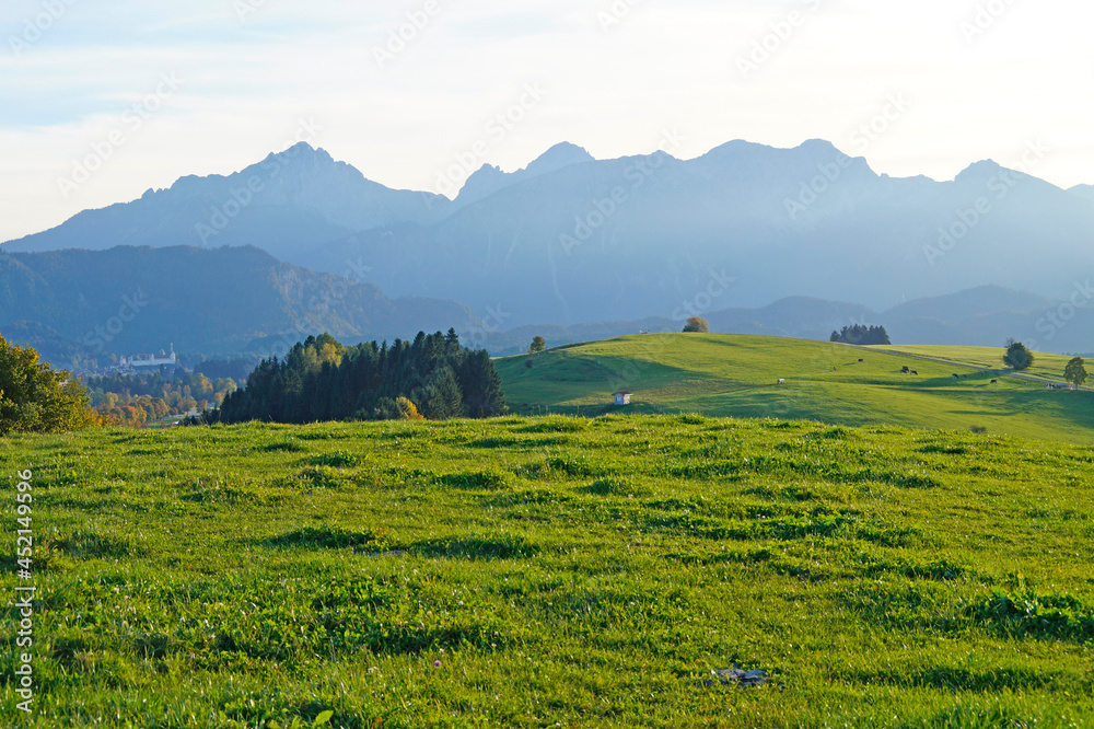 lush sundrenched green alpine meadows of Schwangau region with the Bavarian Alps in the background on a gorgeous sunny day in spring (Allgau, Fuessen, Bavaria, Germany) lush sundrenched green alpine meadows of Schwangau region with the Bavarian Alps in the background on a gorgeous sunny day in spring (Allgau, Fuessen, Bavaria, Germany)