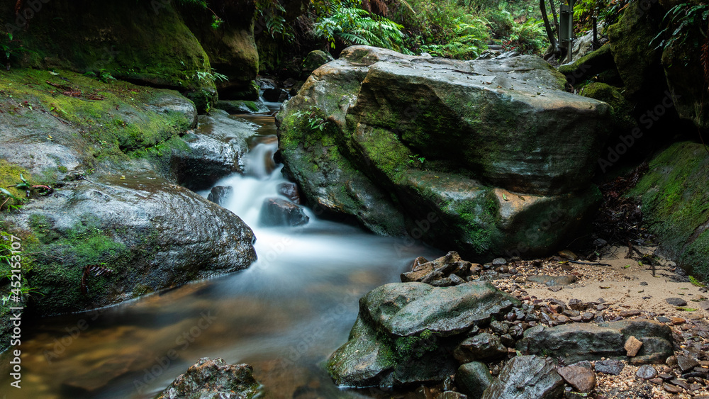stream in the australian rainforrest