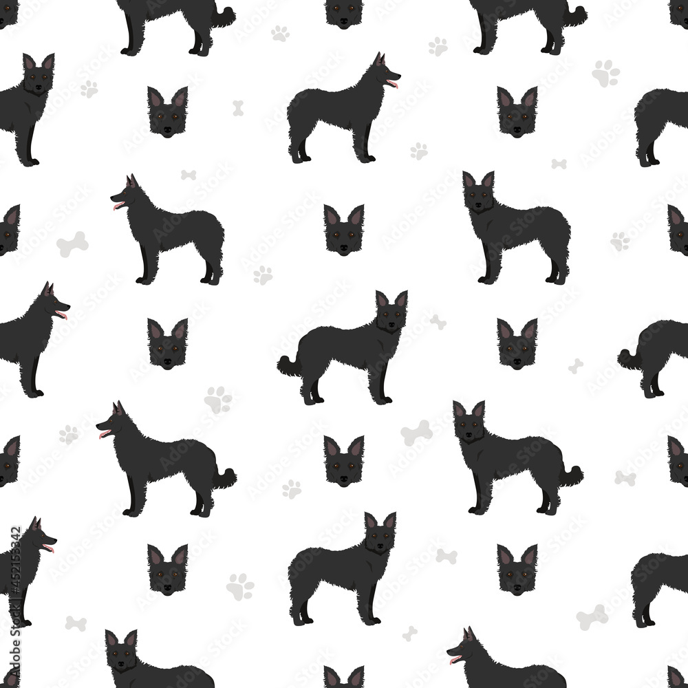 Croatian sheepdog seamless pattern. Different poses, coat colors set