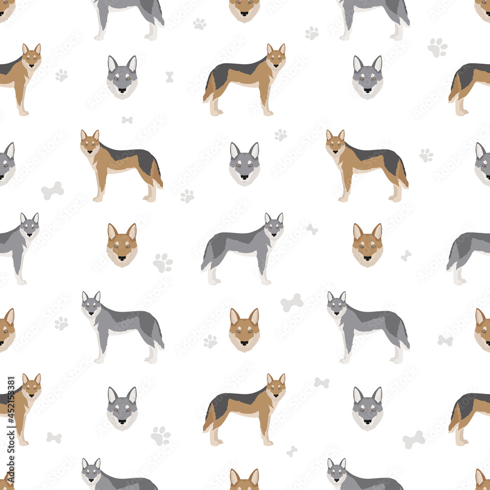 Obraz premium Czechoslovakian wolfdog seamless pattern. Different poses, coat colors set