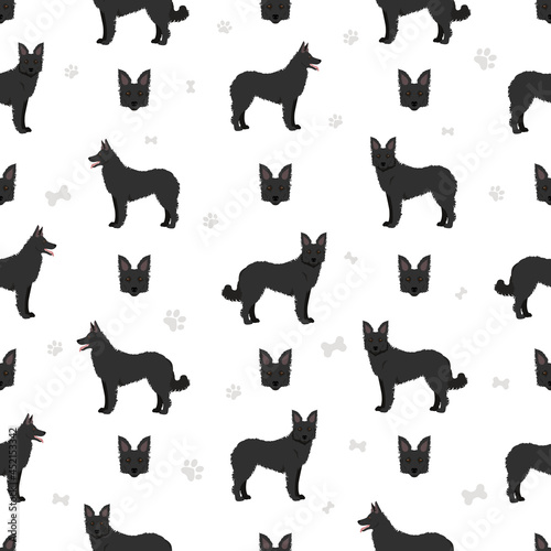 Croatian sheepdog seamless pattern. Different poses  coat colors set