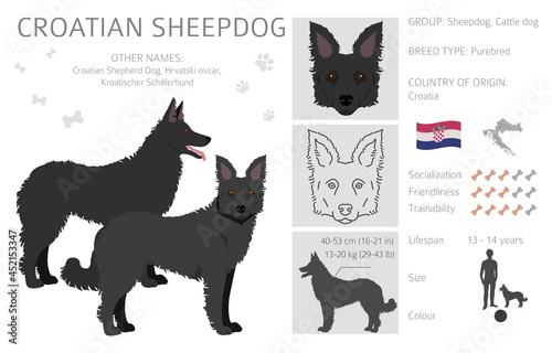 Croatian sheepdog clipart. Different poses, coat colors set