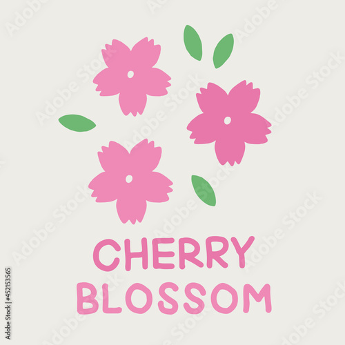 hand drawn cherry blossom, cherry blossom illustration