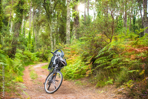 landscape with a bicycle resting in a forest path
