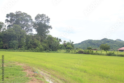 Fields in Nakhon Nayok Province