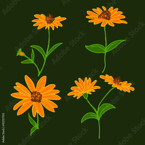 Vector, simple drawings of flowers. For printing on fabric. Floral drawing.