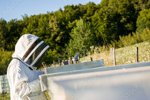 Beekeeper in white beekeeping suit working in apiary with green nature as a background