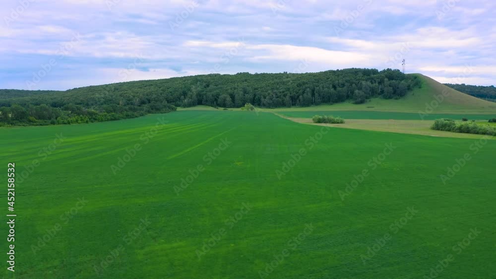 Aerial top view drone flies over green wheat field. Cereal plants land, farmland agricultural industry. Young wheat stalks waving in wind. Harvest organic cultivate. Cloudy day, forest on horizon Aerial top view drone flies over green wheat field. Cereal plants land, farmland agricultural industry. Young wheat stalks waving in wind. Harvest organic cultivate. Cloudy day, forest on horizon