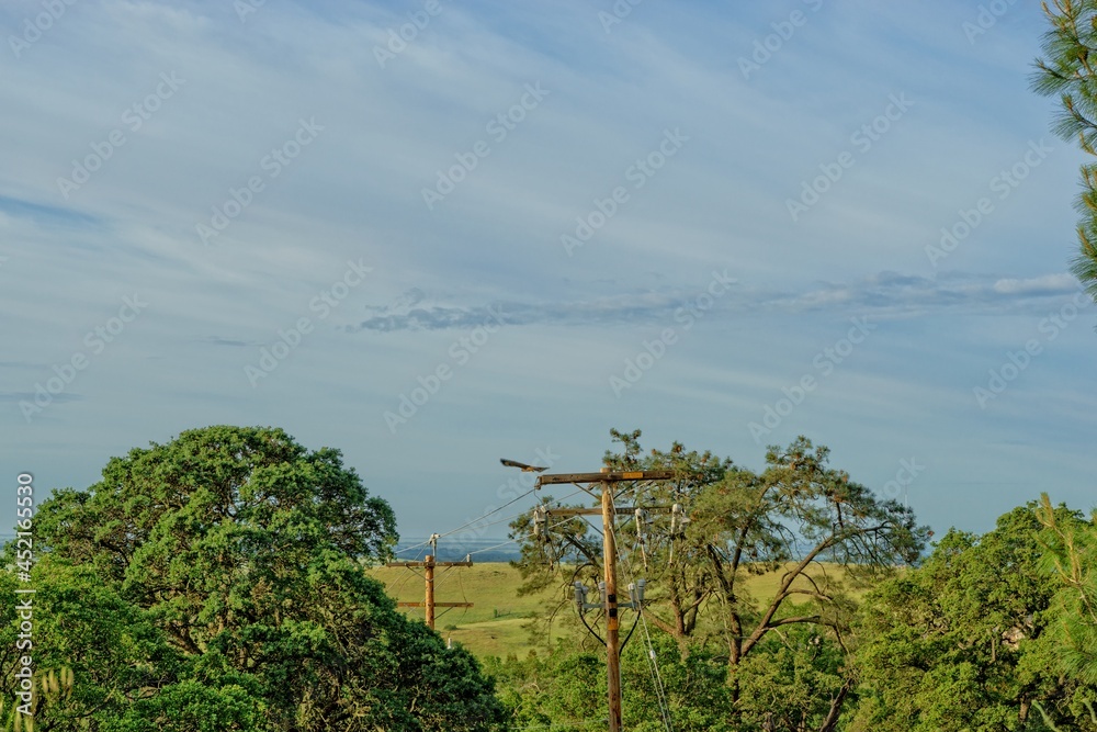 Obraz premium Sacramento Valley, California