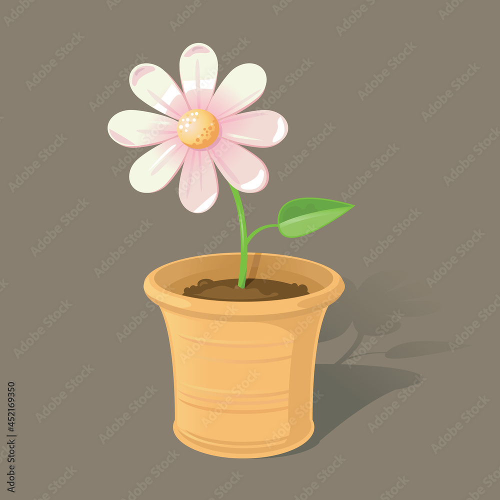 A cute, pastel potted flower in a terracotta plant pot
