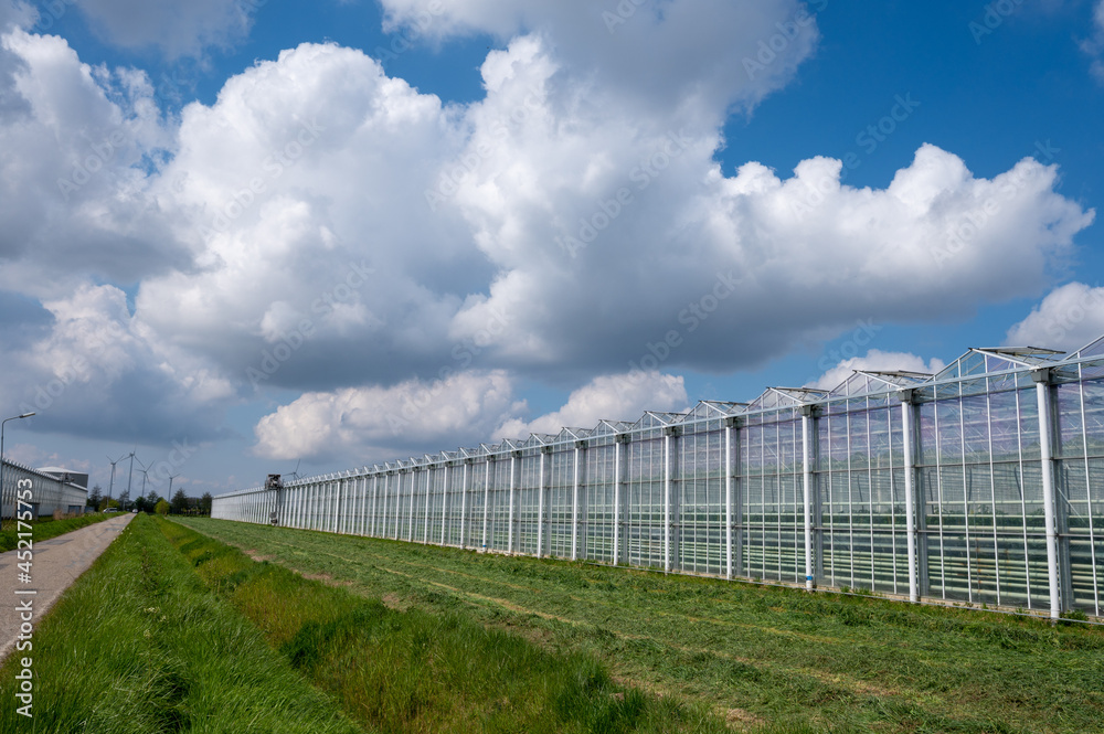 Agriculture in Netherlands, big glass greenhouses used for growing organic vegetables and fruits, Zeeland Agriculture in Netherlands, big glass greenhouses used for growing organic vegetables and fruits, Zeeland