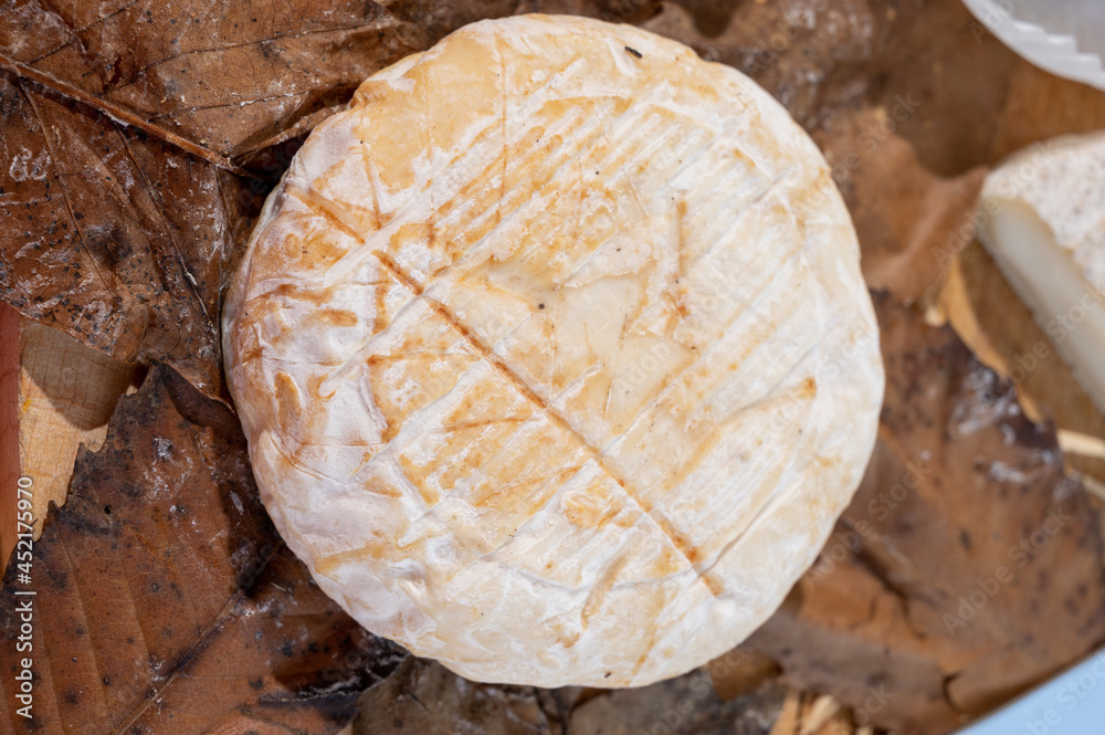 Taste of Provence, ancient small goat cheese Banon a la feuille wrapped in chestnut leaves and tied with raffia. Taste of Provence, ancient small goat cheese Banon a la feuille wrapped in chestnut leaves and tied with raffia.