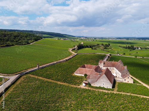 Aerian view on green grand cru and premier cru vineyards with rows of pinot noir grapes plants in Cote de nuits, making of famous red Burgundy wine in Burgundy region of eastern France. photo