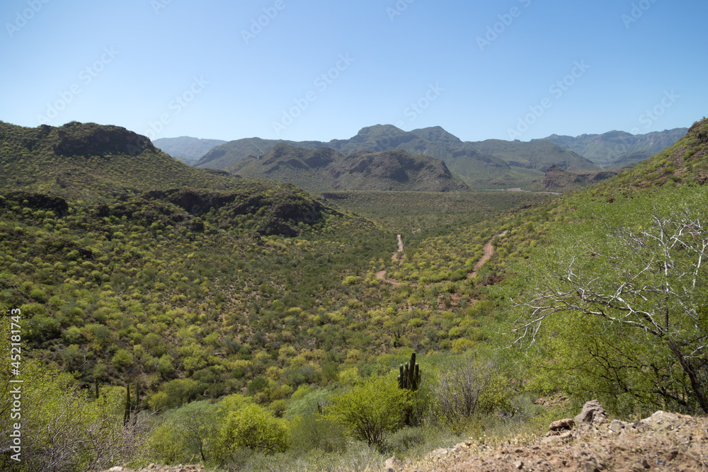 Sierra de Guadalupe Baja California Sur, México