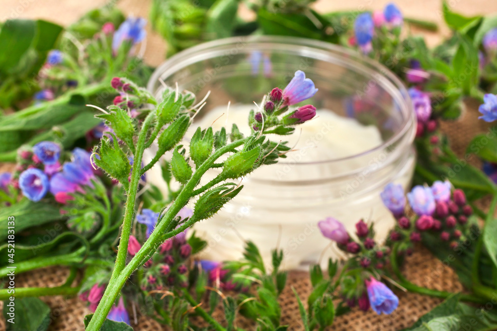 The Common Comfrey (Symphytum officinale) herb with jar of cosmetic cream on a jute background. The Common Comfrey (Symphytum officinale) herb with jar of cosmetic cream on a jute background.