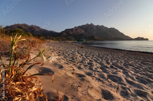 Fototapeta Naklejka Na Ścianę i Meble -  Panoramic view of Foxi Manna beach in Tertenia. Sardinia, Italy