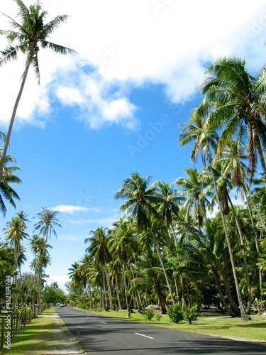 An empty country road on Moorea, French Polynesia: coconut palms and blue sky over a tropical island.