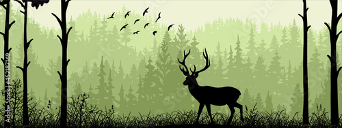 Horizontal banner. Silhouette of deer standing on meadow in forrest. Silhouette of animal, trees, grass. Magical misty landscape, fog. Green, black illustration. Bookmark.