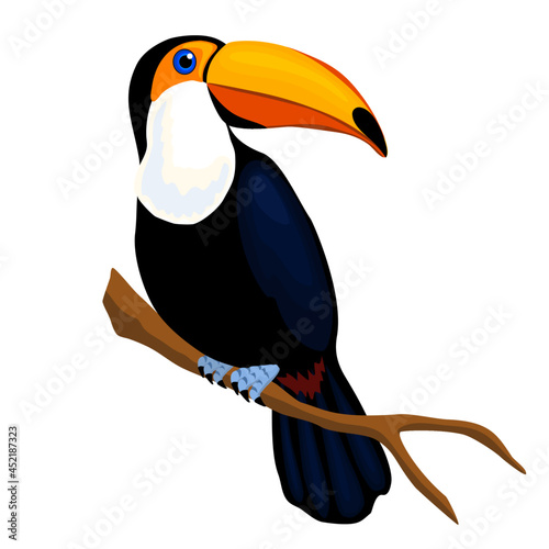 Vector illustration, toucan on a branch. Design element, clipart