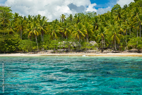 Coral white sand beach surrounded by tropical green palm trees and turquoise blue waters on a sunny day, Raja Ampat, West Papua, Indonesia