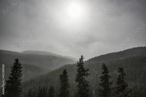 A misty, wide shot of a landscape with snow on winter mountains and pine trees