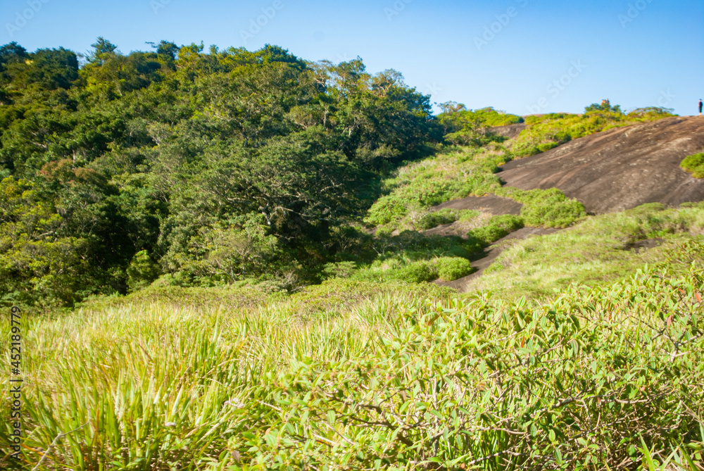 Fototapeta premium landscape with sky