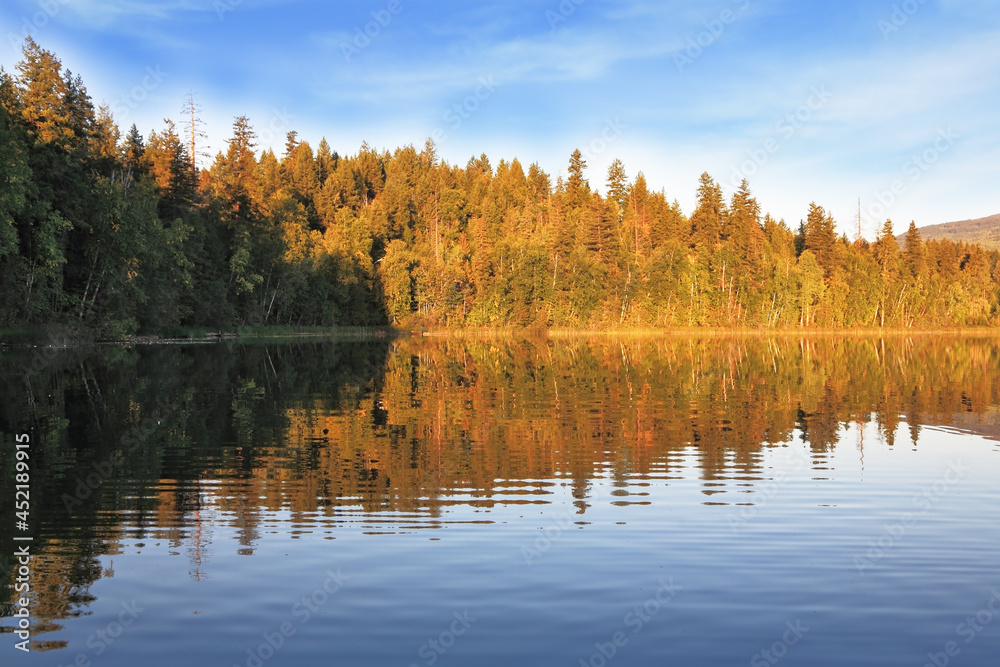 Fototapeta premium The lake is rich with fish