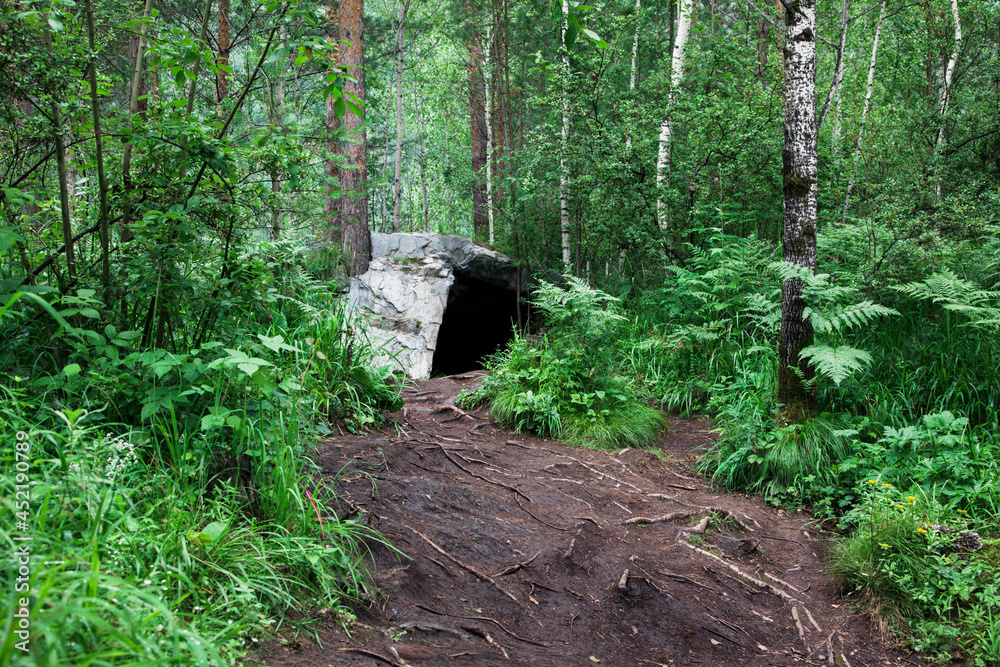 Forest path leading to the cave. Cave in the green forest Forest path leading to the cave. Cave in the green forest