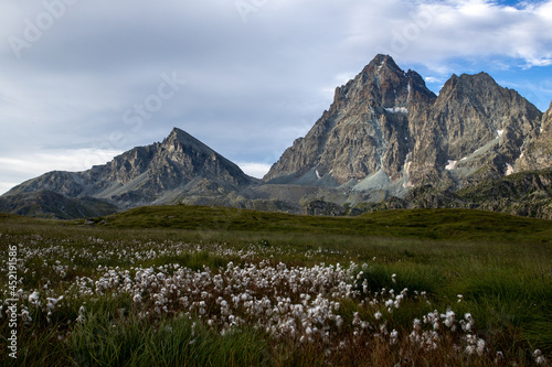 Il monviso (alpi cozie) sovrasta le praterie sopra pian del re (valle po) photo