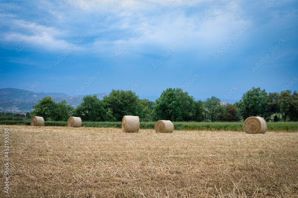 Landscape photograph of a wheat field with straw bales