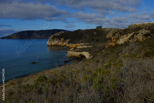 California Coastline Beauty