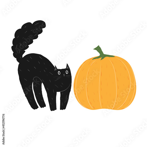 Doodle black cat with Halloween pumpkin. Cute animal scared by vegetable. A kitten with a fluffy tail arched its back and reared up. Stock vector illustration on a white background.