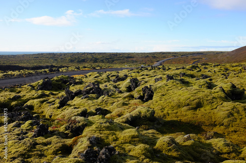 Moss Covered Iceland Landscape