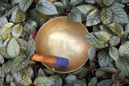 metal singing tibetian bowl nature background