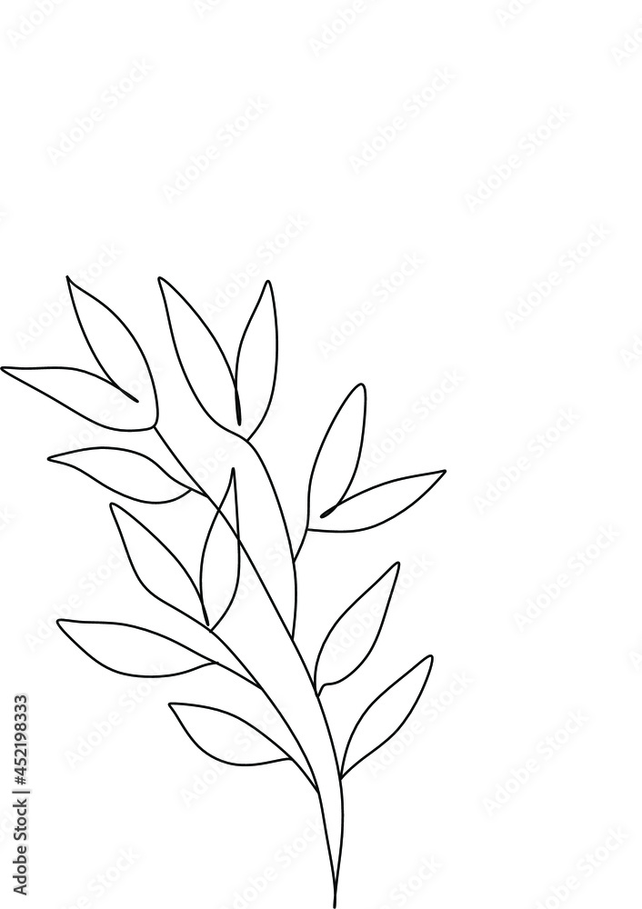 Botanical plants line Botanical plants line
