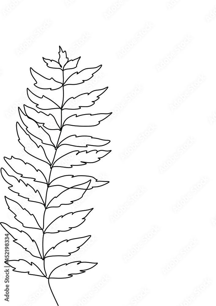 Naklejka premium Botanical plants line