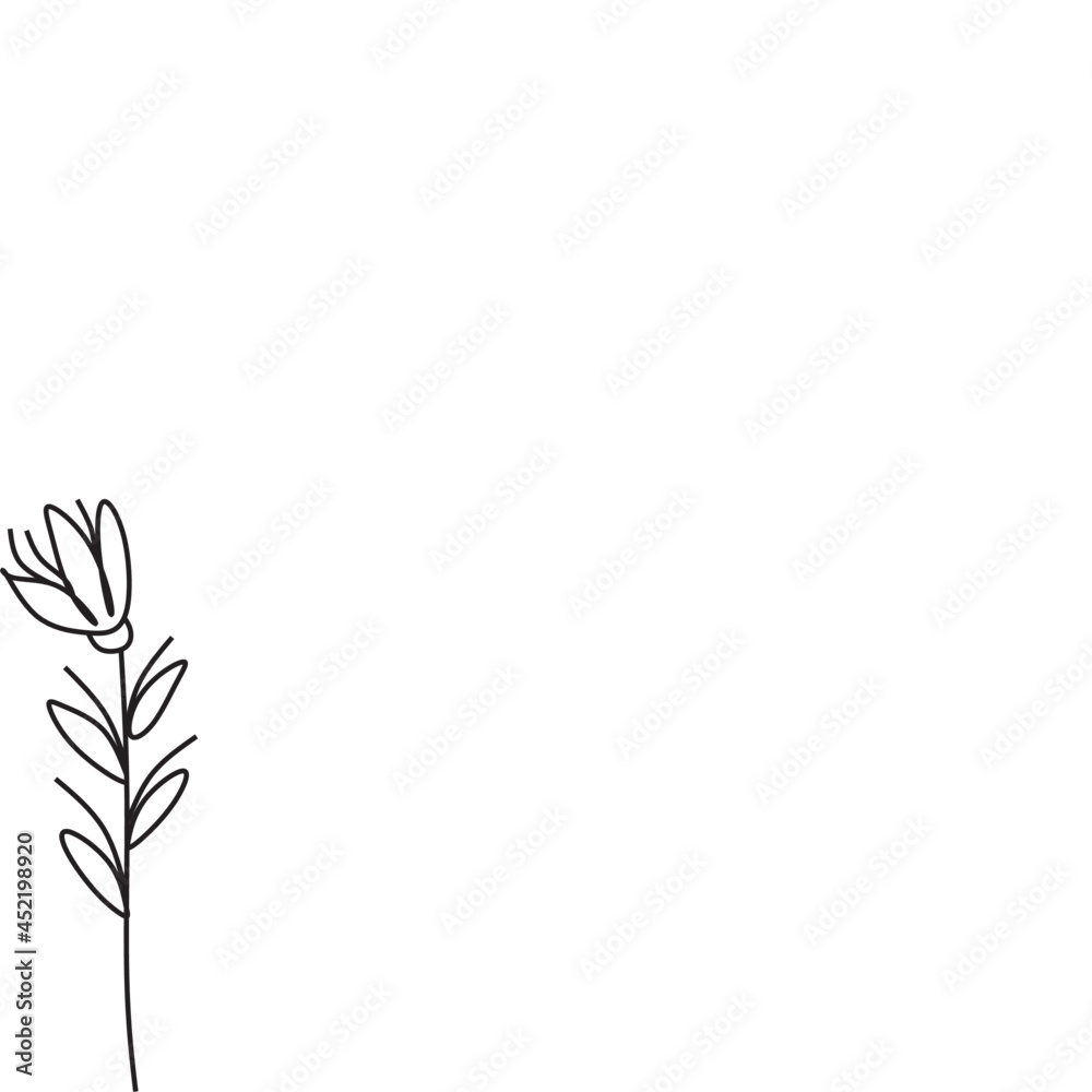 Botanical plants line Botanical plants line