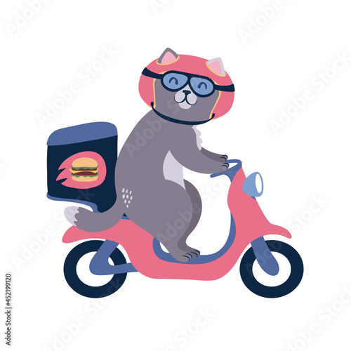 Food delivery cat on a motorbike. Vector illustration isolated on white.