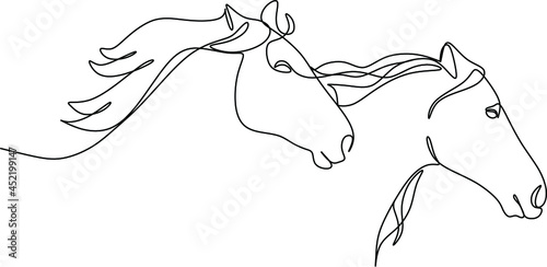 Horses
