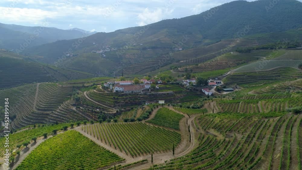 Aerial Forward Scenic View Of Vineyard Over Green Mountains Against Cloudy Sky - Porto, Portugal Aerial Forward Scenic View Of Vineyard Over Green Mountains Against Cloudy Sky - Porto, Portugal