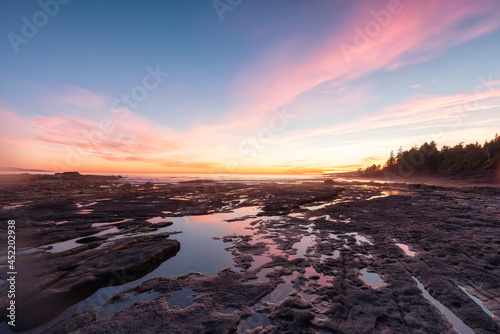 Botanical Beach on the West Coast of Pacific Ocean. Summer Sunny Sunset. Canadian Nature Landscape Background. Located in Port Renfrew near Victoria, Vancouver Island, British Columbia, Canada.