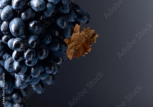 Dark blue grapes on a dark background.